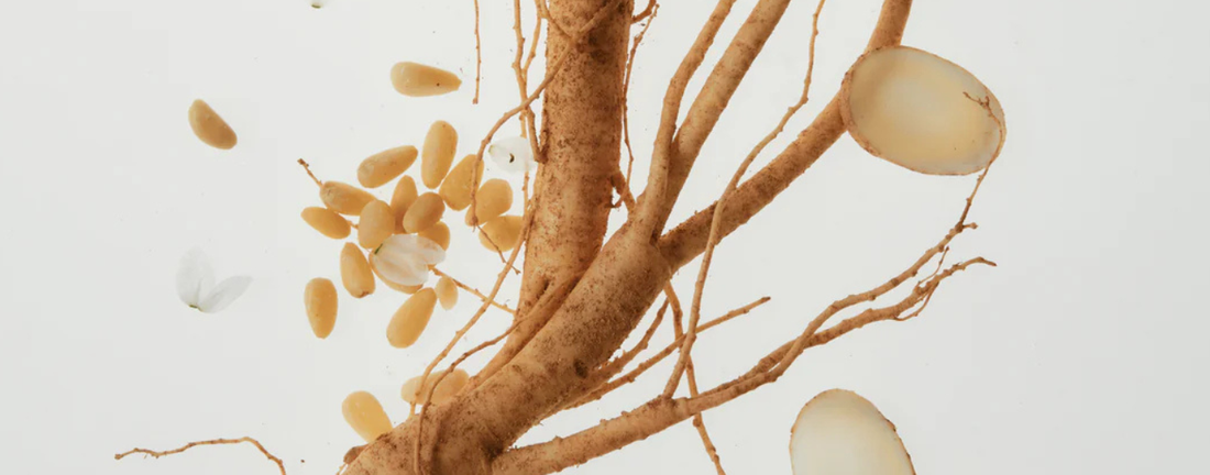 Ginseng in Skincare: What It Does and Why Korean Beauty Has Used It for Centuries