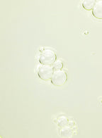 Beauty Of Joseon Calming Serum : Green tea + Panthenol 30ml