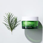 Dr.Ceuracle Tea Tree Purifine 80 Cream