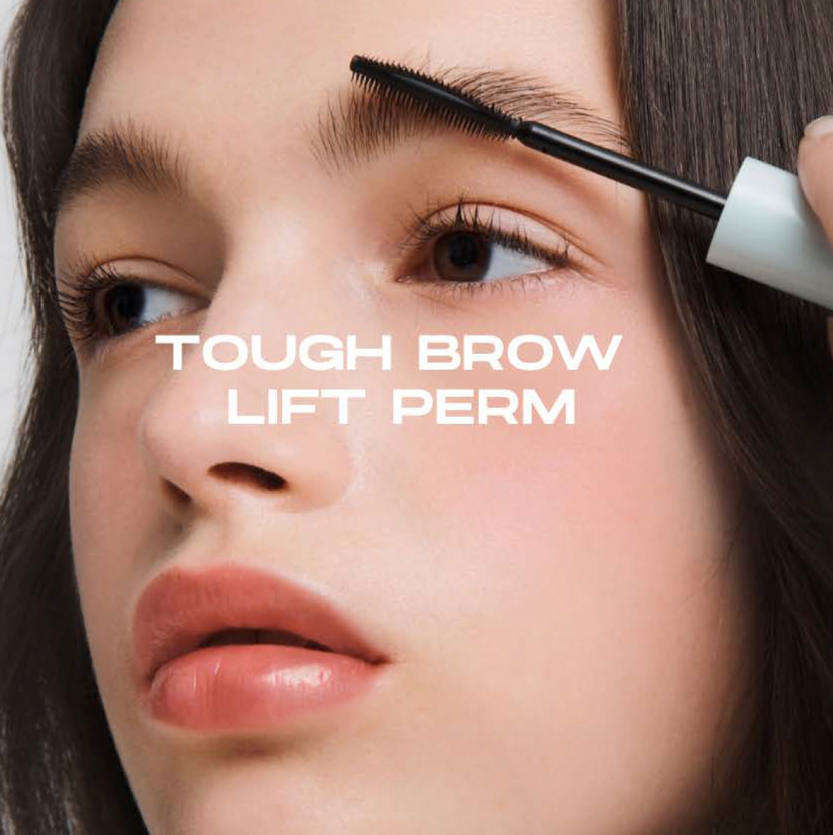 ENTROPY Tough Brow Lift Perm