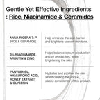Anua  7 RICE CERAMIDE HYDRATING BARRIER SERUM 50ml