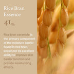 I'm From Rice Cream