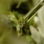 I'm From Mugwort Serum 30ml
