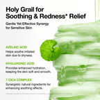 Anua  Azelaic 10 Hyaluron Redness Soothing Pad 230ml