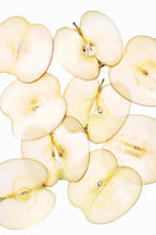 Tocobo Apple Dewy Fit Cushion + Refill